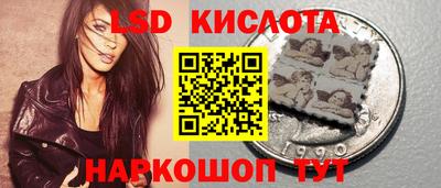 стаф Кинель