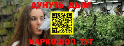стаф Кинель