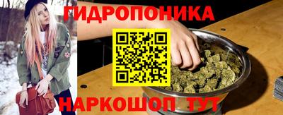 стаф Кинель