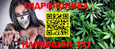 стаф Кинель