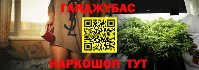 стаф Кинель