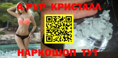 стаф Кинель
