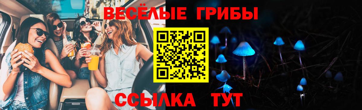 закладка  Вход с VPN  Лобня  Псилоцибиновые грибы Psilocybine cubensis 